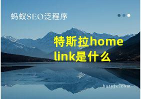 特斯拉homelink是什么