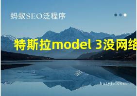 特斯拉model 3没网络