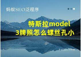 特斯拉model 3牌照怎么螺丝孔小