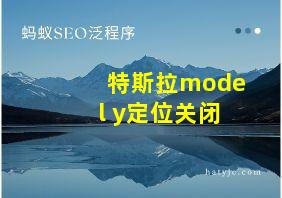 特斯拉model y定位关闭