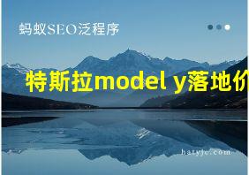 特斯拉model y落地价