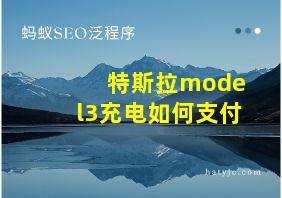 特斯拉model3充电如何支付