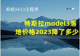 特斯拉model3落地价格2023降了多少