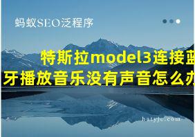 特斯拉model3连接蓝牙播放音乐没有声音怎么办