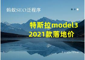 特斯拉model3 2021款落地价