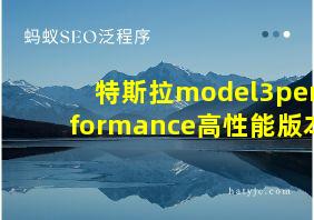 特斯拉model3performance高性能版本