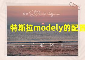 特斯拉modely的配置