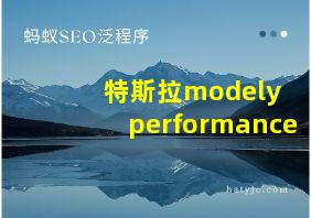 特斯拉modely performance