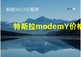 特斯拉modemY价格