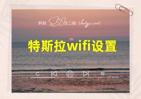 特斯拉wifi设置