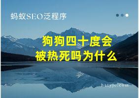 狗狗四十度会被热死吗为什么