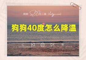 狗狗40度怎么降温