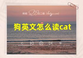 狗英文怎么读cat