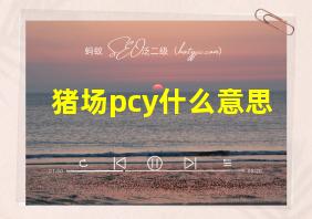 猪场pcy什么意思