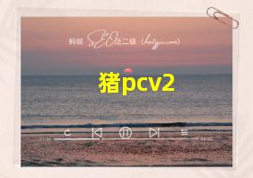 猪pcv2