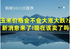 玉米价格会不会大涨大跌?最新消息来了!现在该卖了吗?