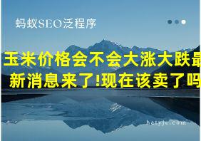 玉米价格会不会大涨大跌最新消息来了!现在该卖了吗