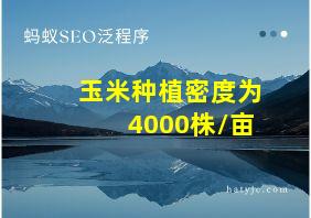 玉米种植密度为4000株/亩