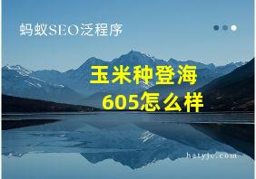 玉米种登海605怎么样