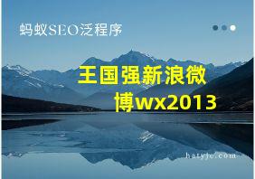 王国强新浪微博wx2013