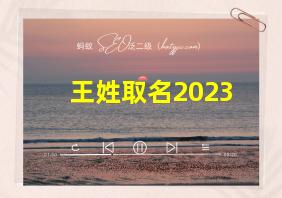 王姓取名2023