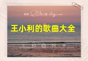 王小利的歌曲大全