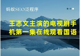 王志文主演的电视剧手机第一集在线观看国语