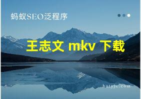 王志文 mkv 下载