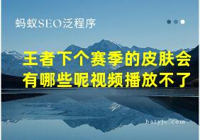 王者下个赛季的皮肤会有哪些呢视频播放不了