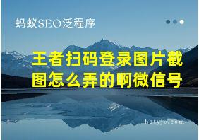 王者扫码登录图片截图怎么弄的啊微信号