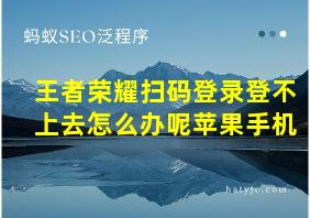 王者荣耀扫码登录登不上去怎么办呢苹果手机