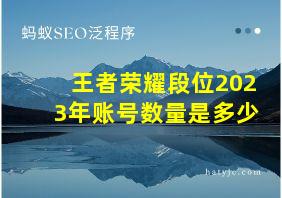 王者荣耀段位2023年账号数量是多少