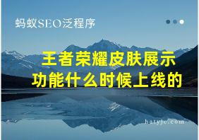 王者荣耀皮肤展示功能什么时候上线的