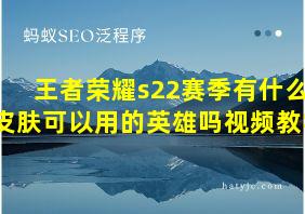 王者荣耀s22赛季有什么皮肤可以用的英雄吗视频教学