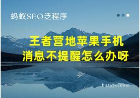 王者营地苹果手机消息不提醒怎么办呀