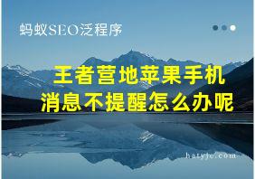 王者营地苹果手机消息不提醒怎么办呢