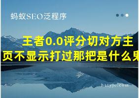 王者0.0评分切对方主页不显示打过那把是什么鬼