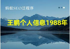 王鹏个人信息1988年