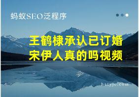 王鹤棣承认已订婚宋伊人真的吗视频