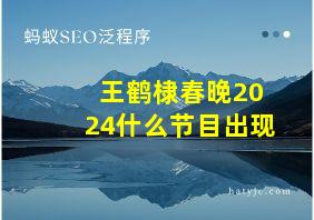 王鹤棣春晚2024什么节目出现