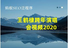 王鹤棣跨年演唱会视频2020