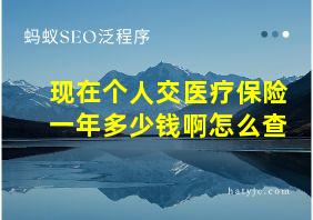 现在个人交医疗保险一年多少钱啊怎么查