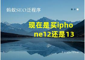 现在是买iphone12还是13