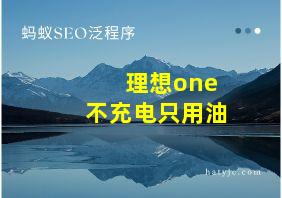 理想one不充电只用油