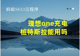 理想one充电桩特斯拉能用吗