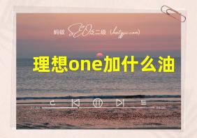 理想one加什么油