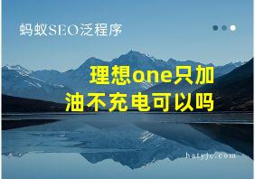 理想one只加油不充电可以吗