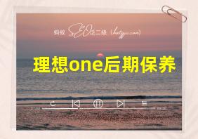 理想one后期保养