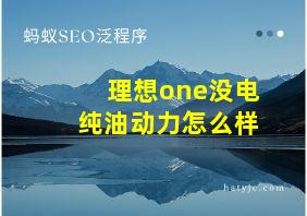 理想one没电纯油动力怎么样