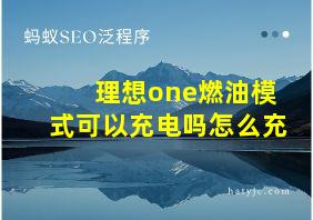 理想one燃油模式可以充电吗怎么充